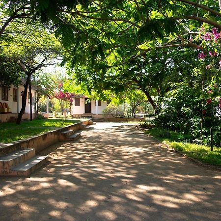 The Mountain Retreat Hotel Tiruvannāmalai Buitenkant foto