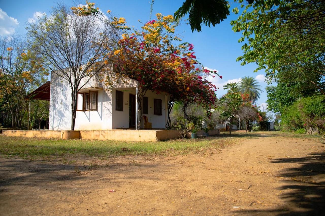 The Mountain Retreat Hotel Tiruvannāmalai Buitenkant foto
