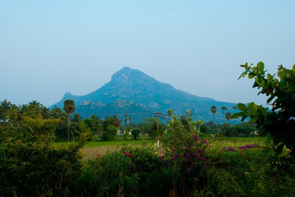 The Mountain Retreat Hotel Tiruvannāmalai Buitenkant foto